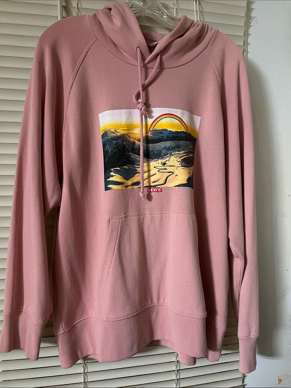 Levi's Pink Hoodie with Sunset Landscape Graphic
